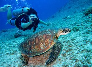 beste onderwatercamera